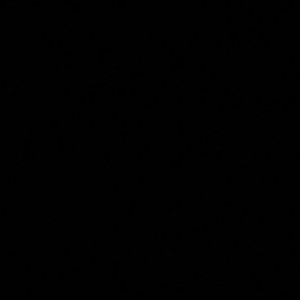 Meet your Posher, Barella